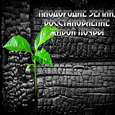 олимп окс скачать бесплатно